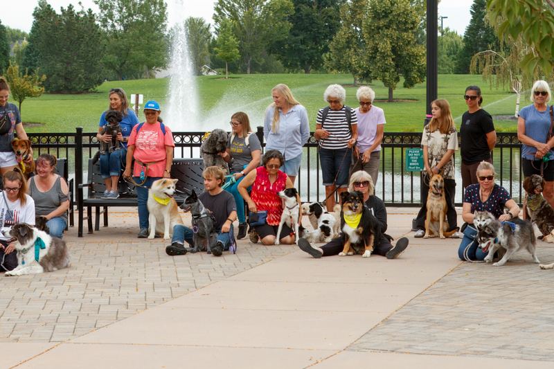 A large group of people and dogs walking together at the park